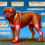 Dogue de Bordeaux Joint Pain: Causes, Symptoms, Prevention, and Treatment